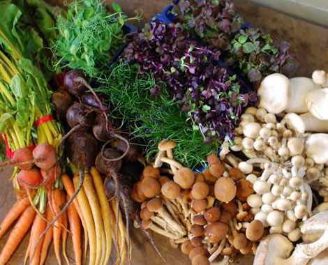 Vegetable Selection Vegetable Selection